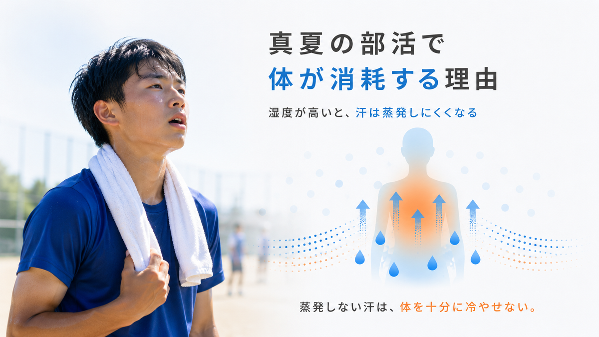 真夏の部活で体が消耗する理由の図